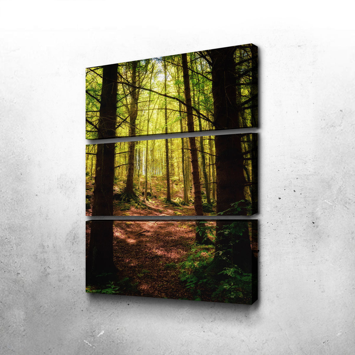 Enchanting Forest Vol. 2 Wall Art