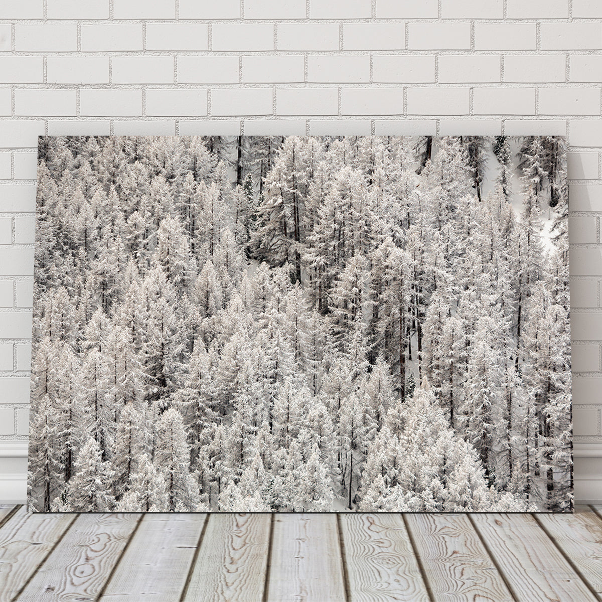 Enneigement tardif Wall Art