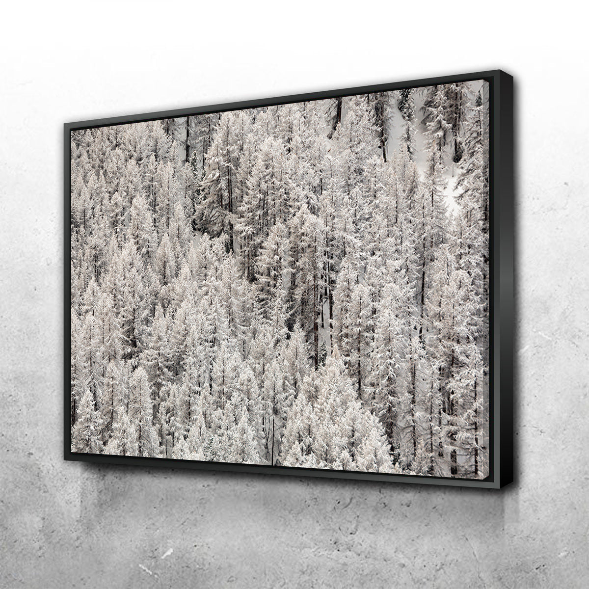 Enneigement tardif Wall Art