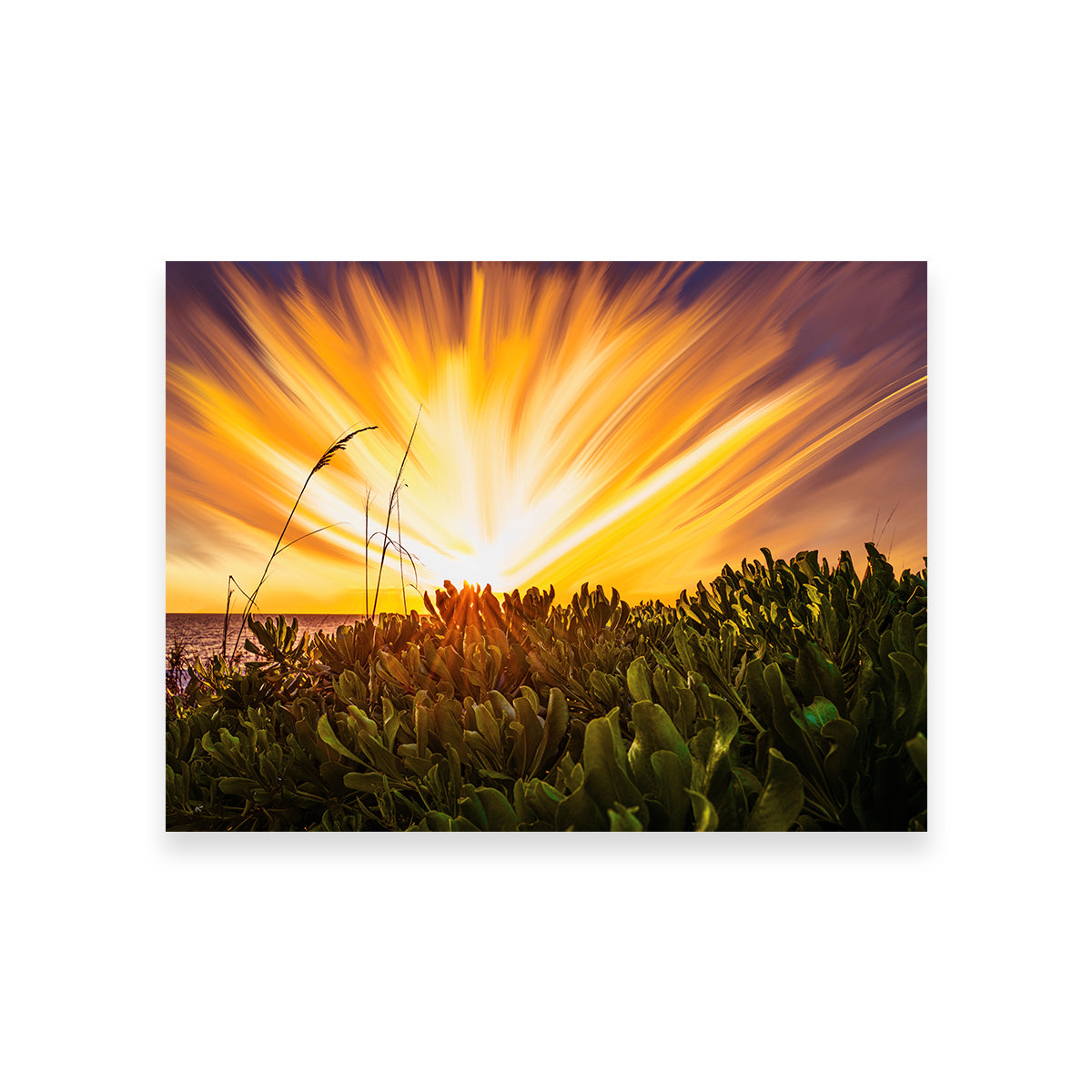 Exploding Sunset Wall Art