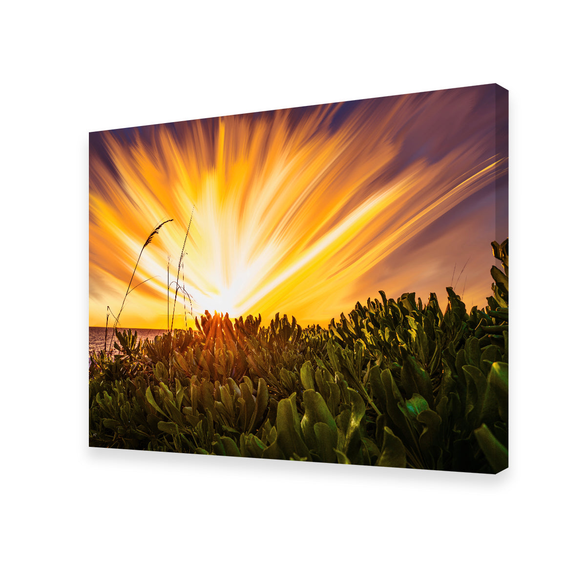 Exploding Sunset Wall Art