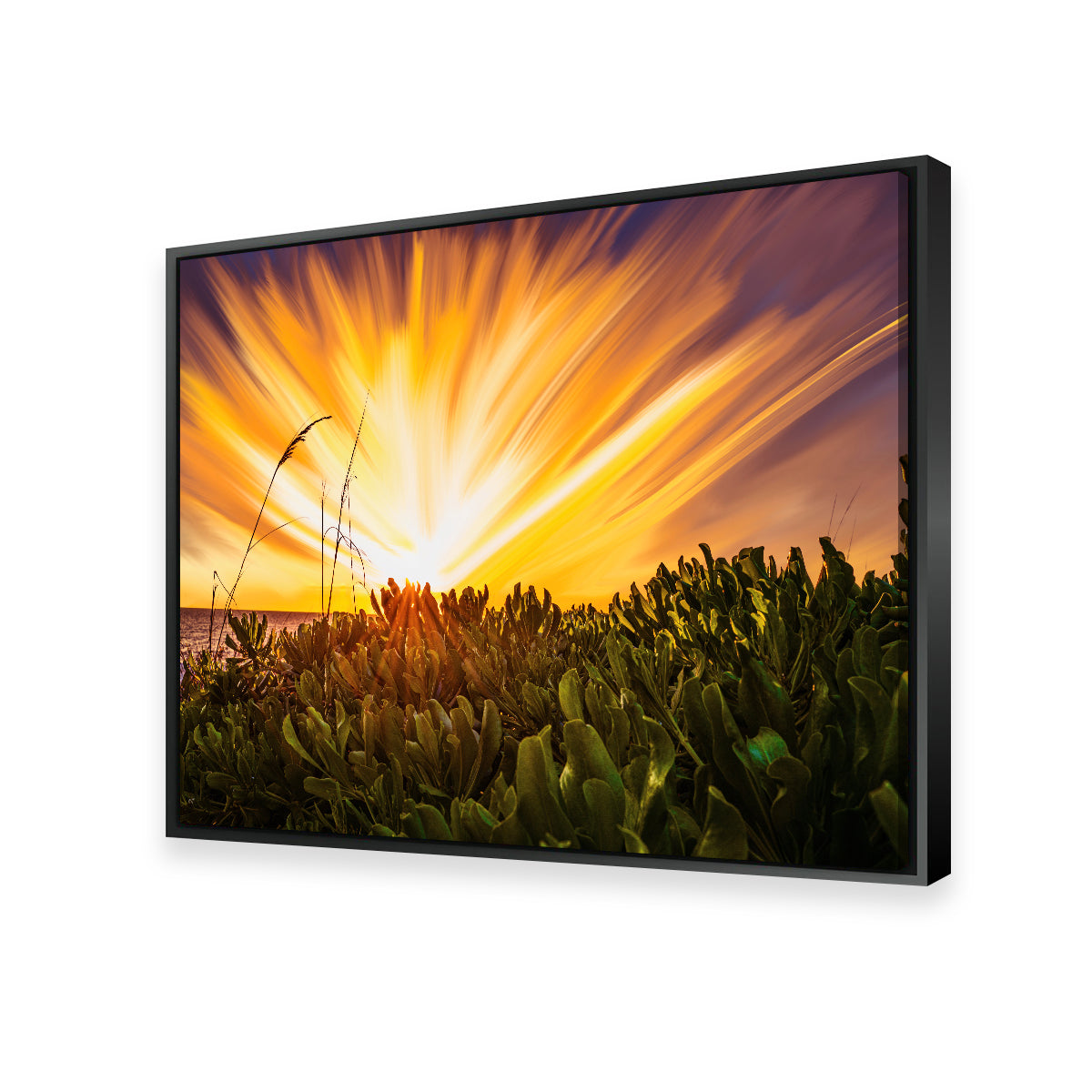 Exploding Sunset Wall Art