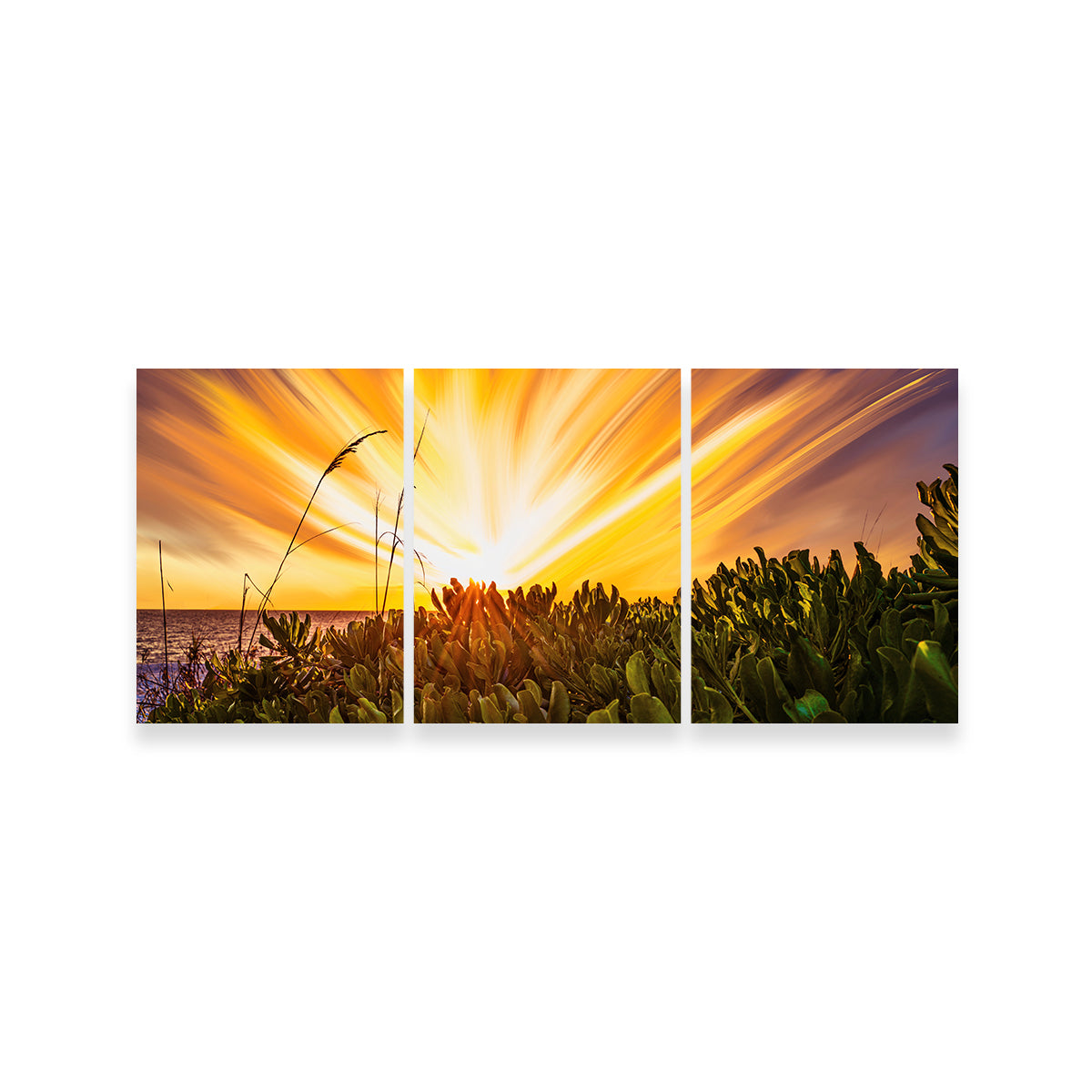 Exploding Sunset Wall Art