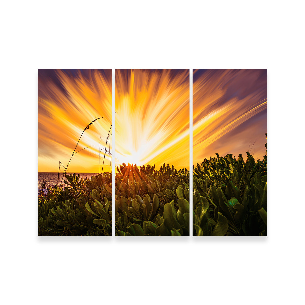Exploding Sunset Wall Art