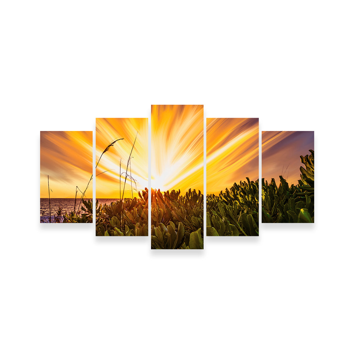 Exploding Sunset Wall Art