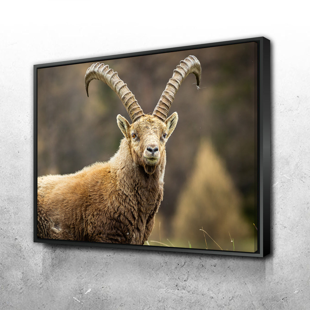 Face à Face Wall Art