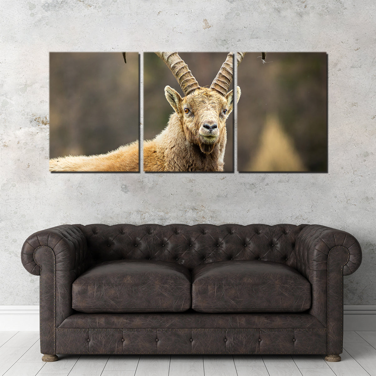 Face à Face Wall Art