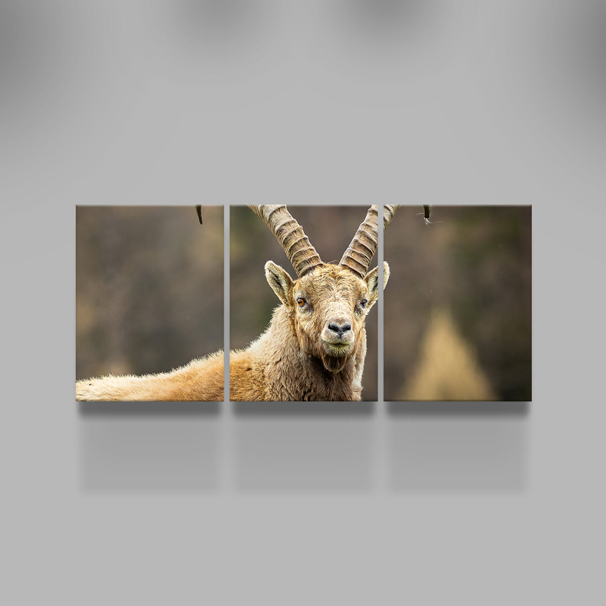 Face à Face Wall Art