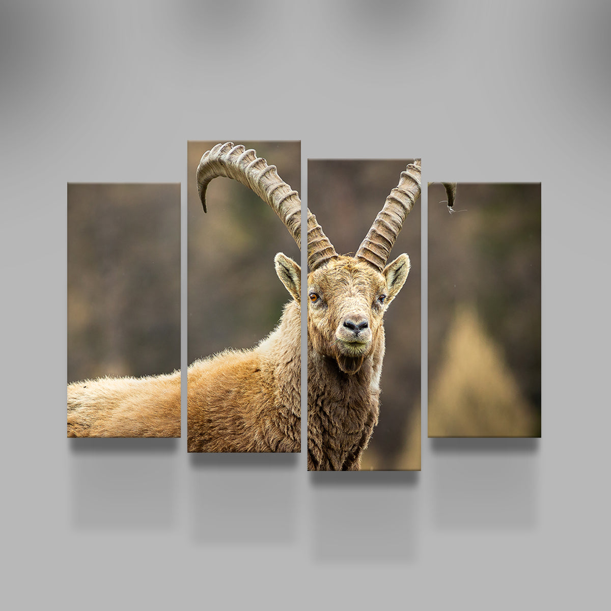 Face à Face Wall Art