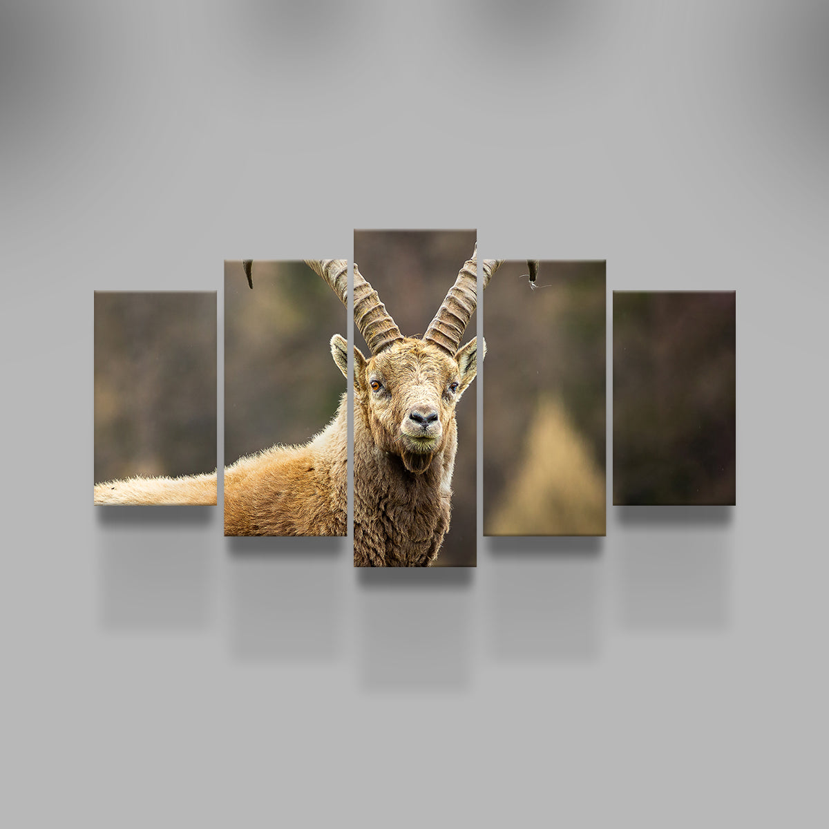 Face à Face Wall Art