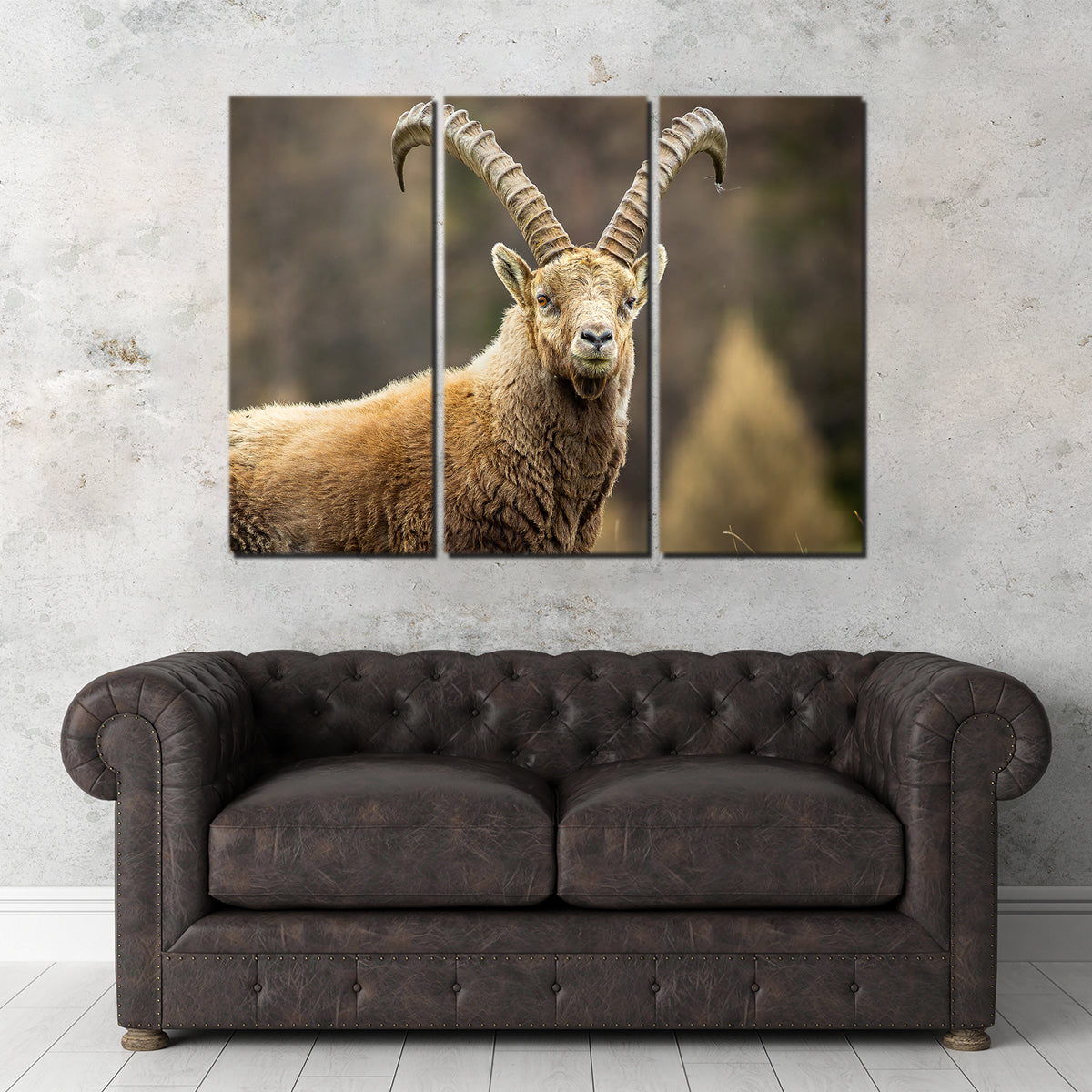 Face à Face Wall Art