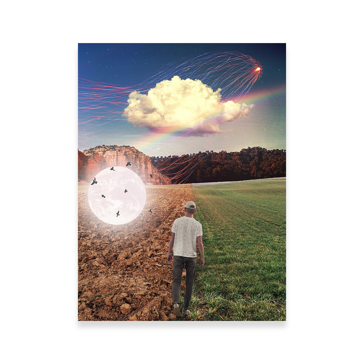 Falling Moon Birds Wall Art