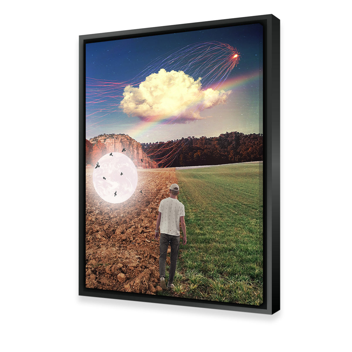 Falling Moon Birds Wall Art