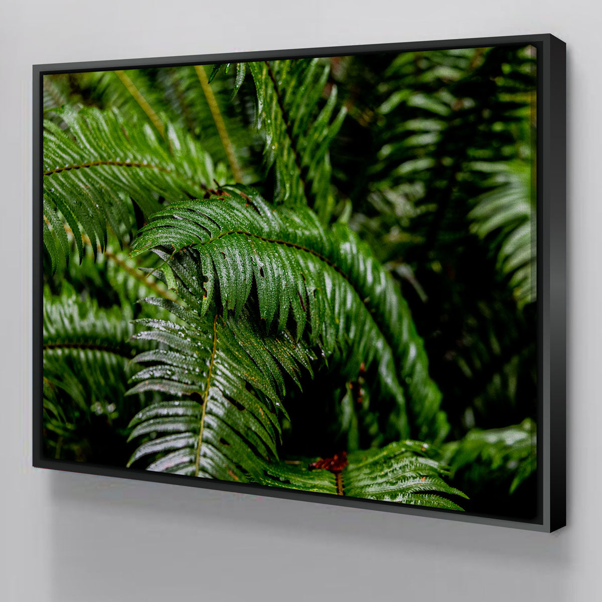 Fern Leaves Wall Art