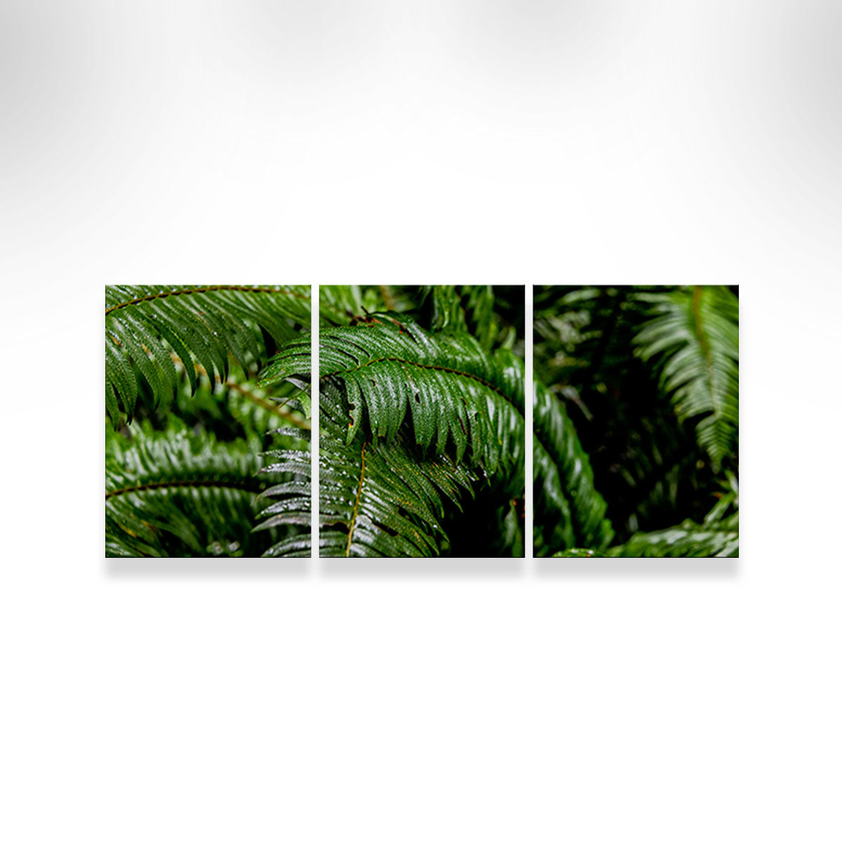 Fern Leaves Wall Art