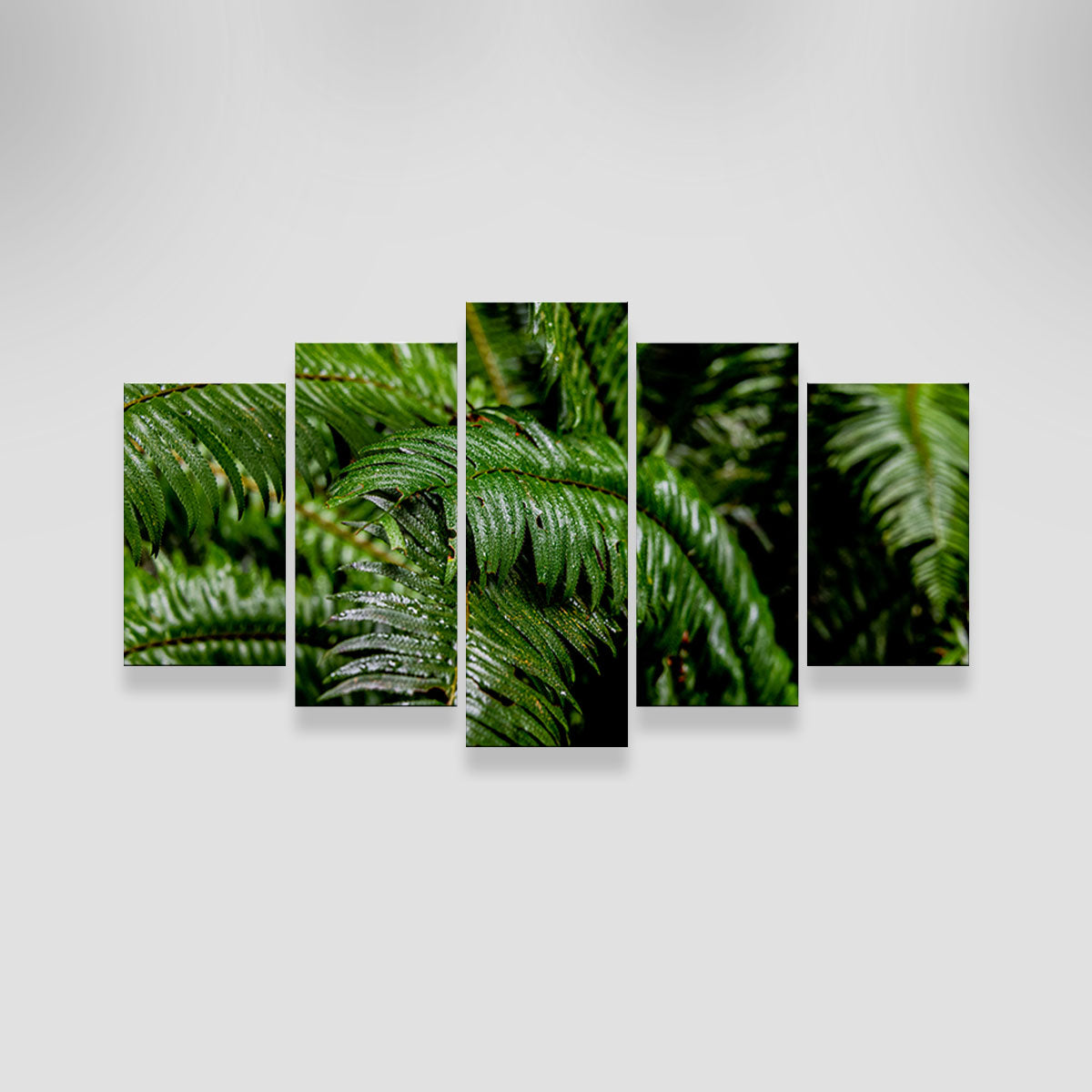 Fern Leaves Wall Art