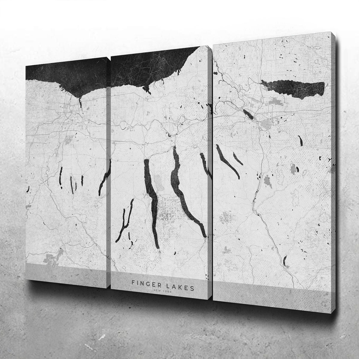 Finger Lakes Map 2 Wall Art