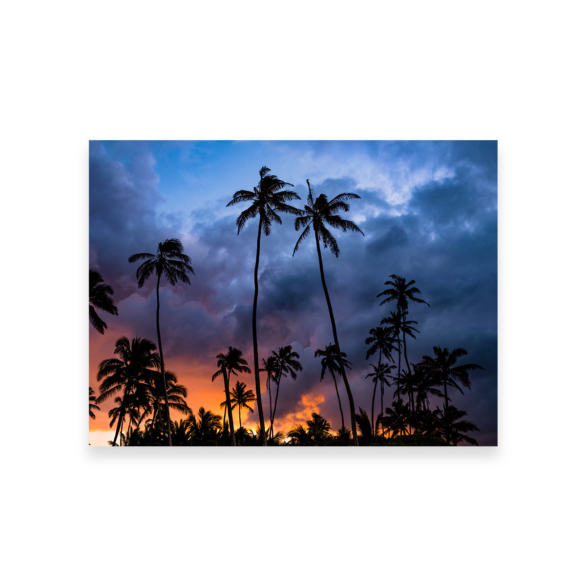 Fire in the Sky Wall Art