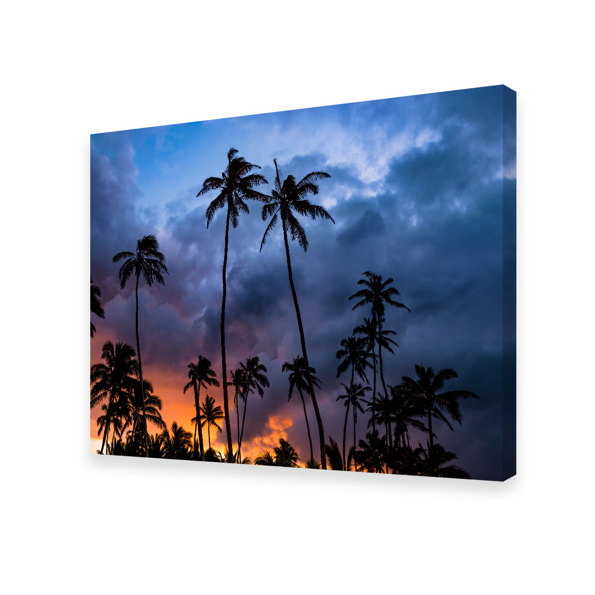 Fire in the Sky Wall Art