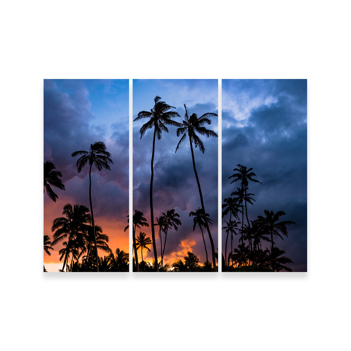 Fire in the Sky Wall Art