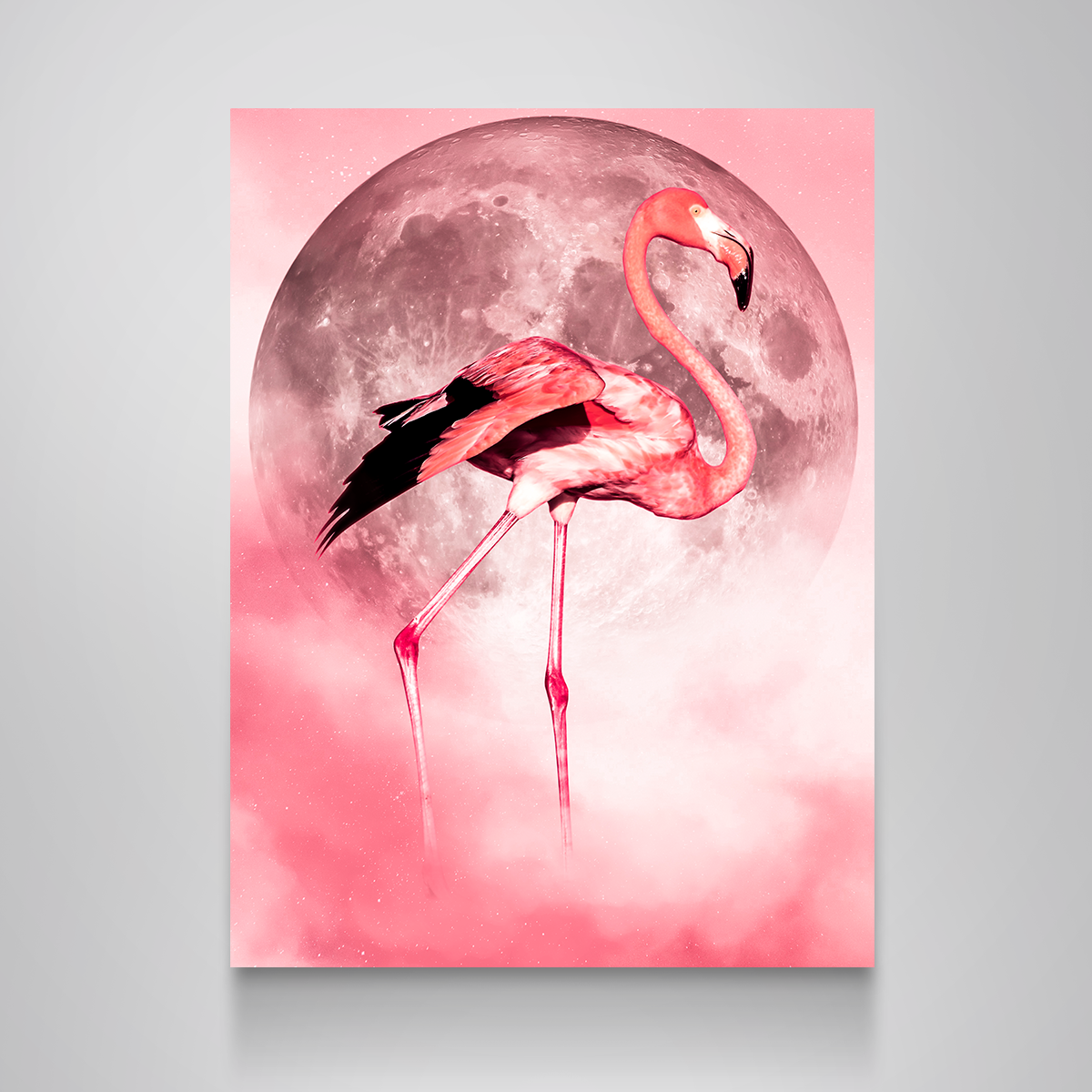 Flamingo Wall Art