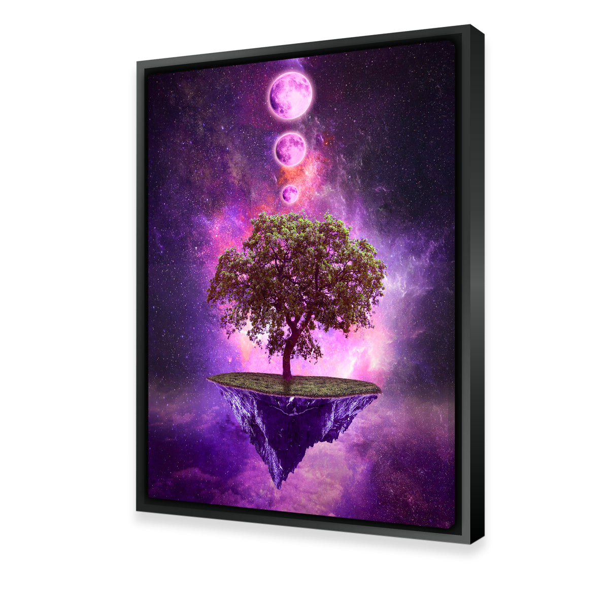 Floating Island In Space Wall Art