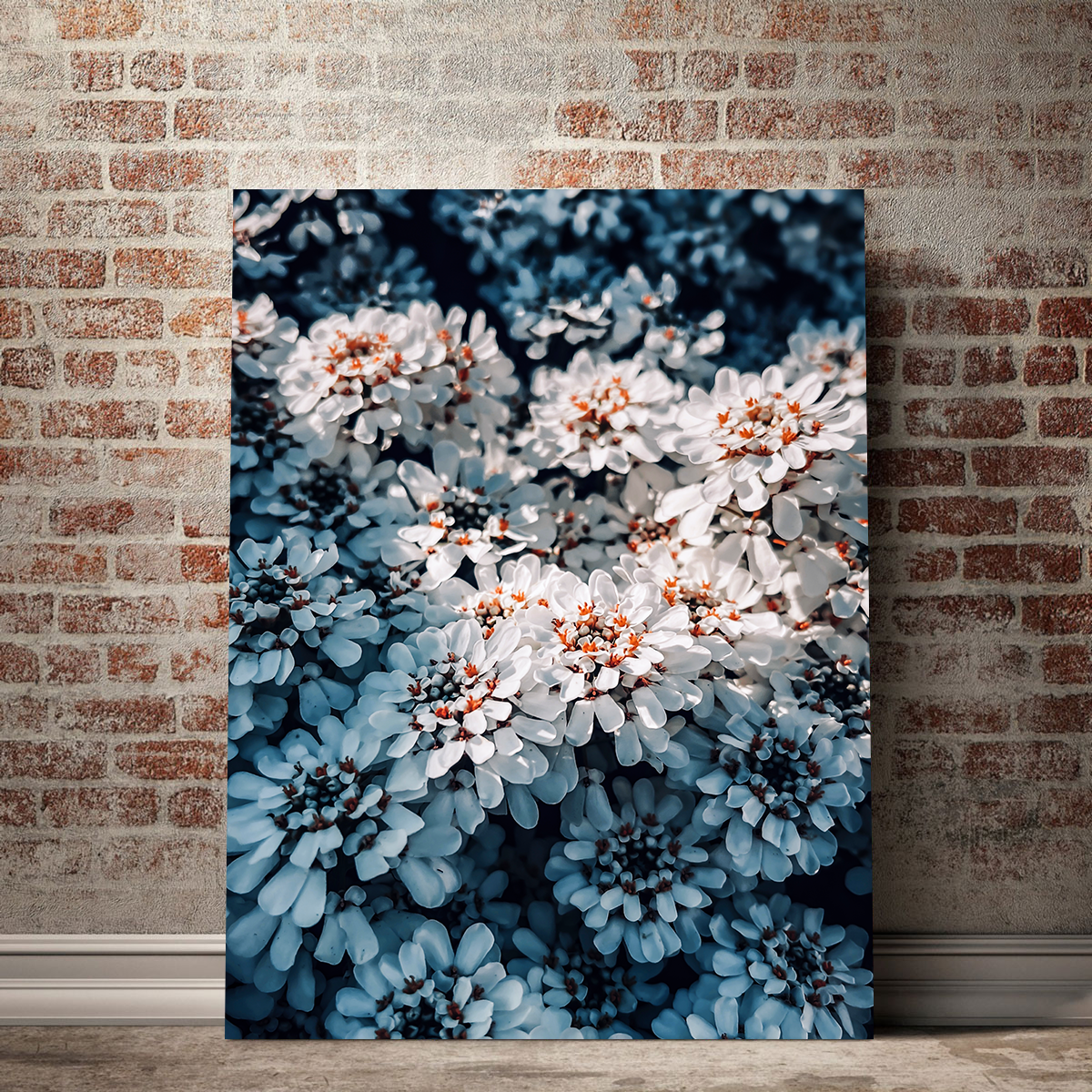Flores Wall Art