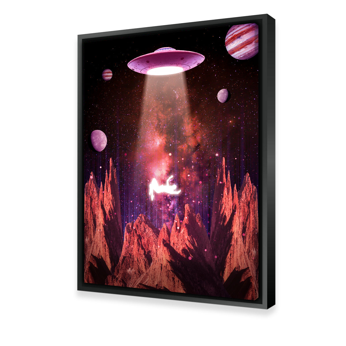 Flying Wall Art