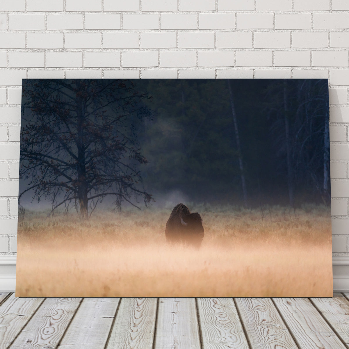 Foggy Morning Wall Art