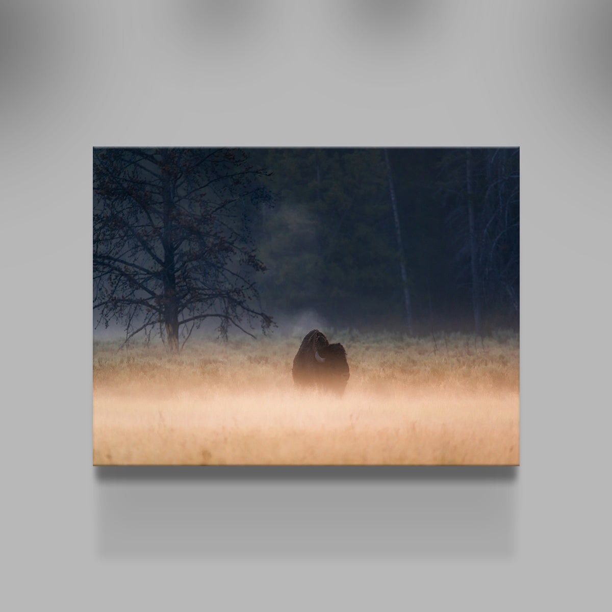 Foggy Morning Wall Art