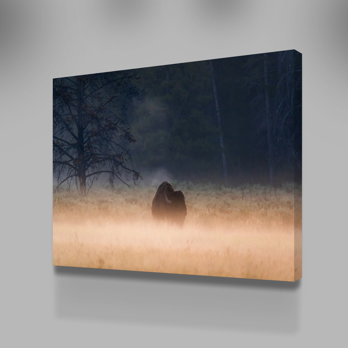 Foggy Morning Wall Art