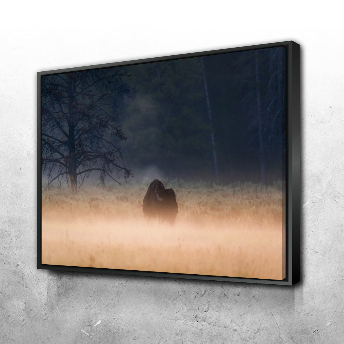 Foggy Morning Wall Art