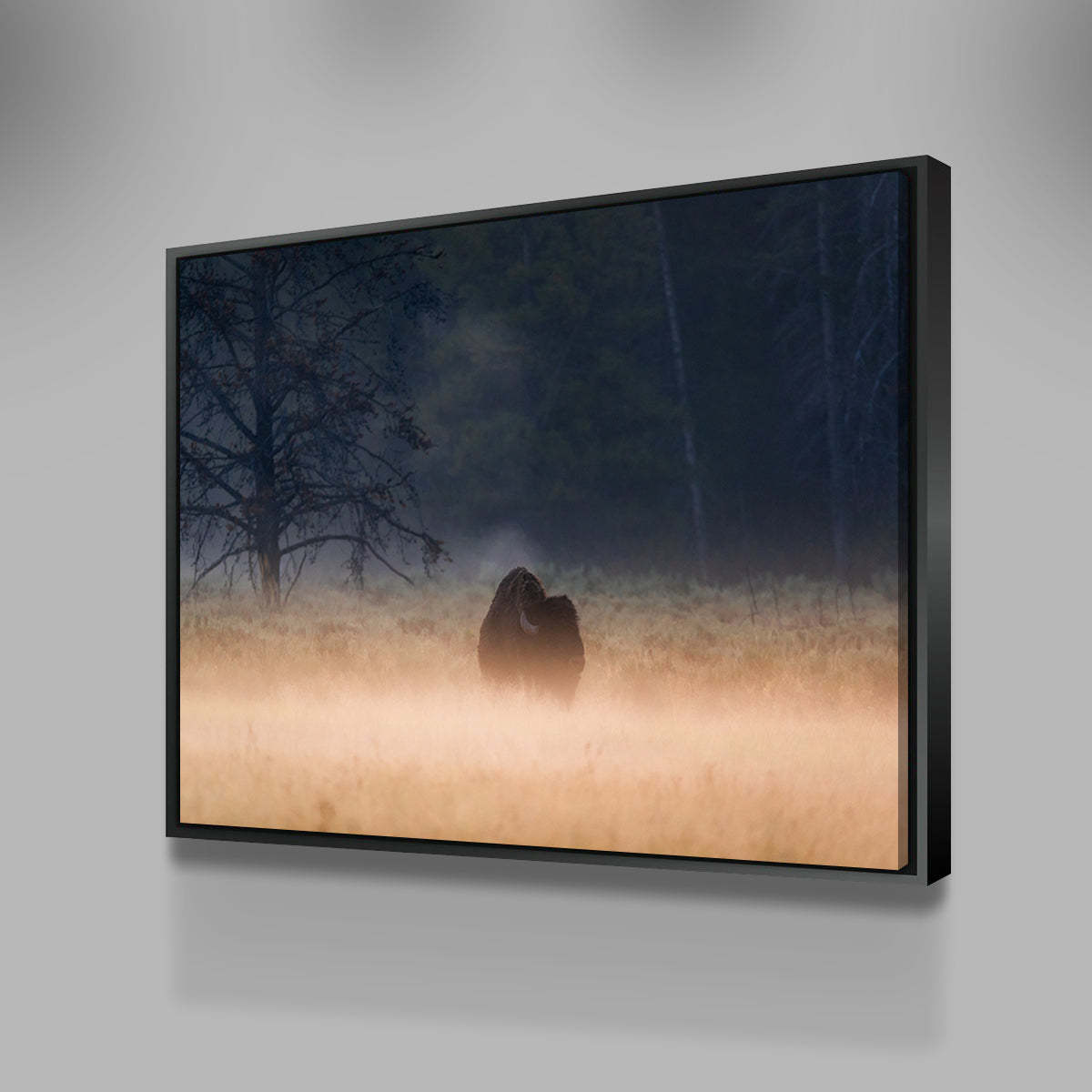 Foggy Morning Wall Art