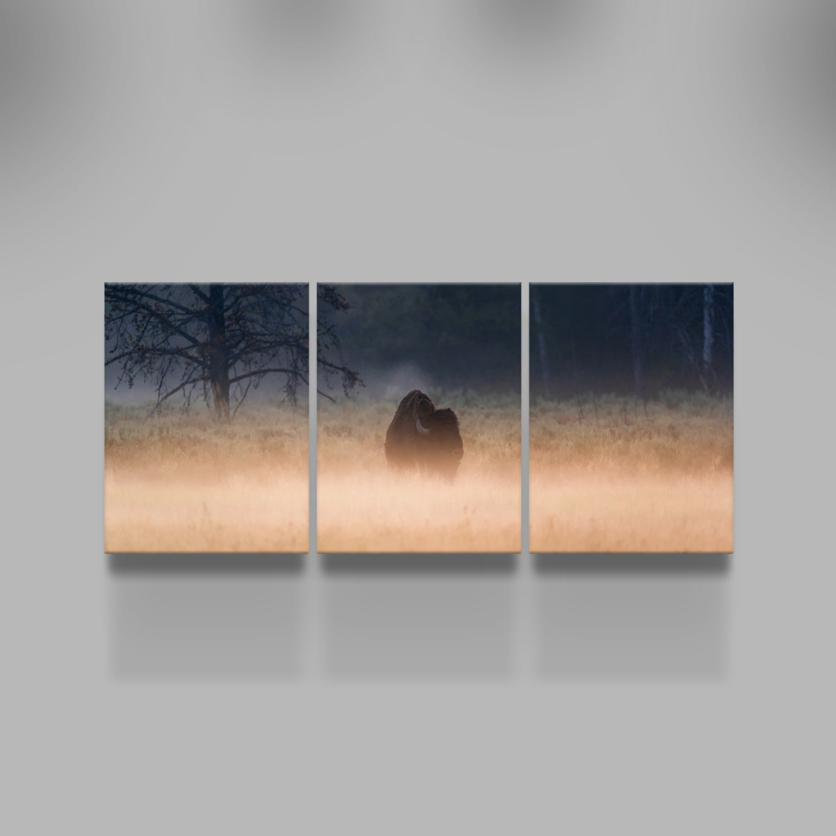 Foggy Morning Wall Art
