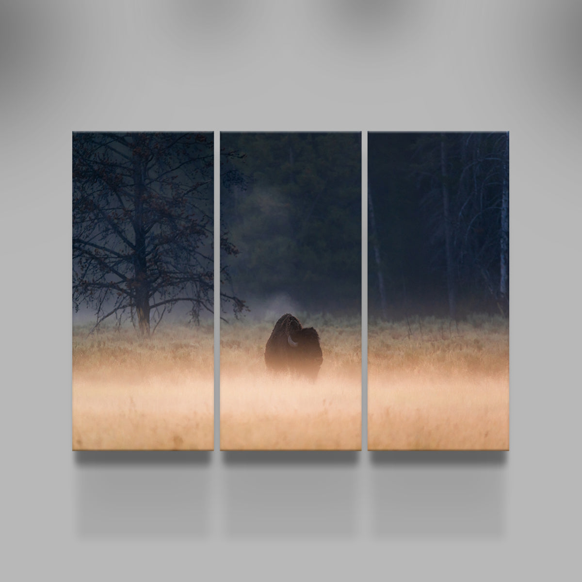 Foggy Morning Wall Art