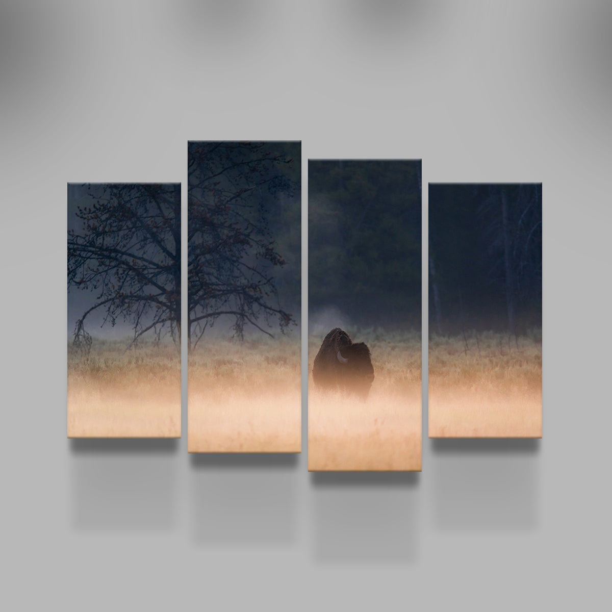 Foggy Morning Wall Art