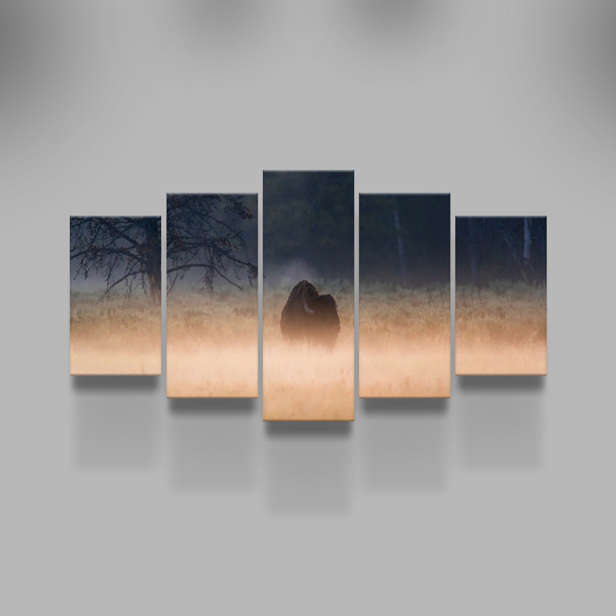 Foggy Morning Wall Art