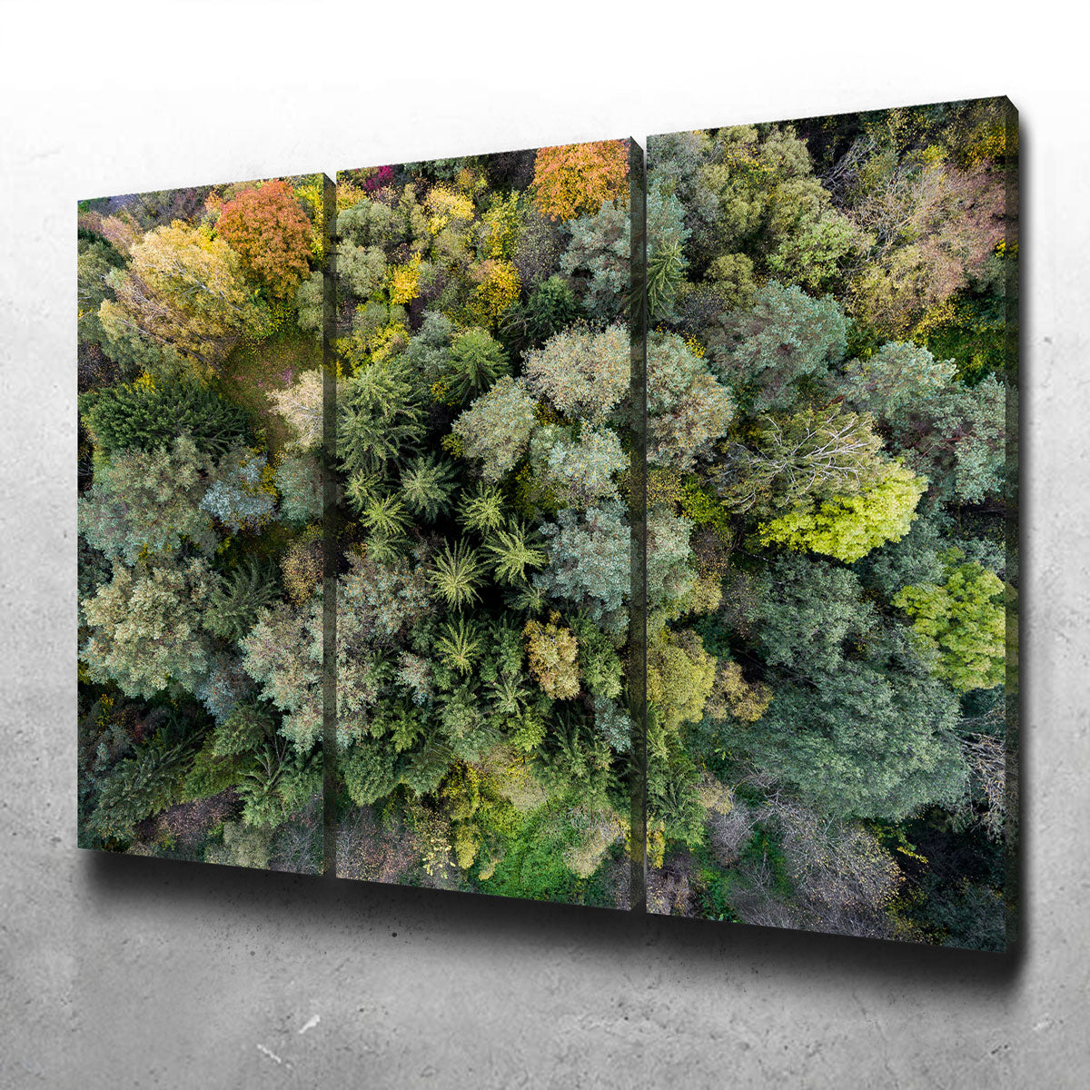 Forest From Above Wall Art