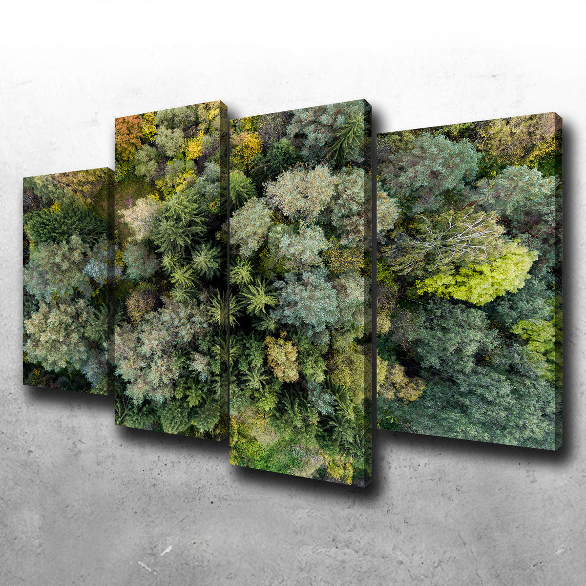 Forest From Above Wall Art