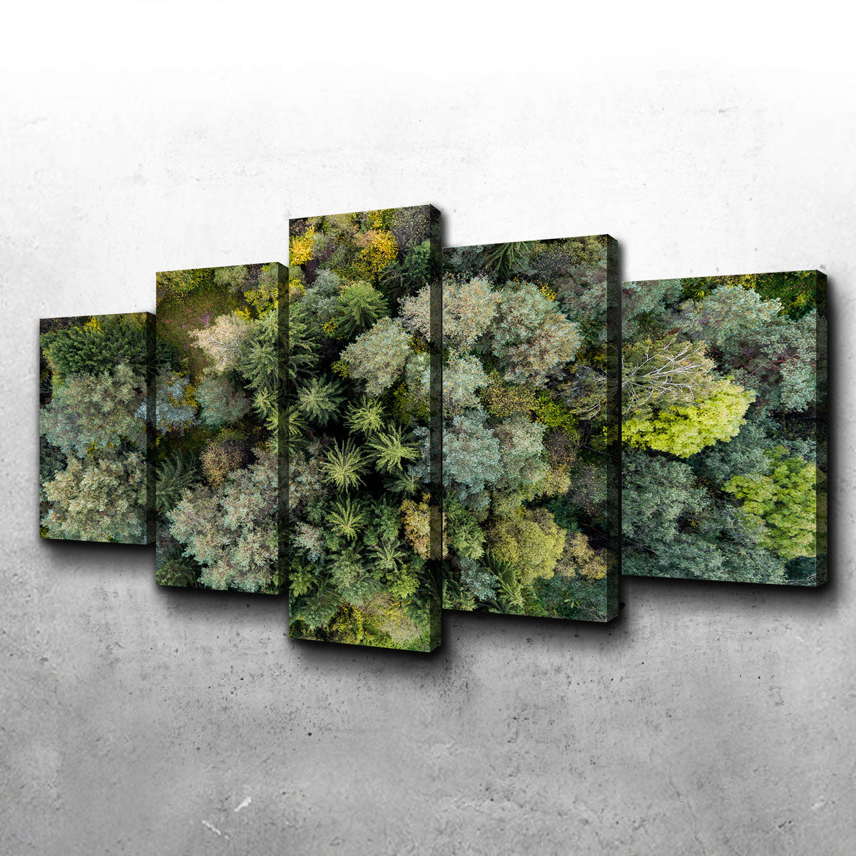 Forest From Above Wall Art