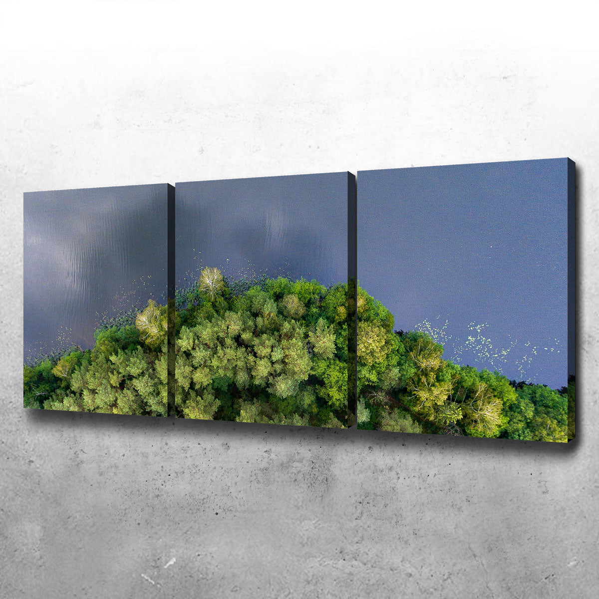 Forest Meets Water Wall Art