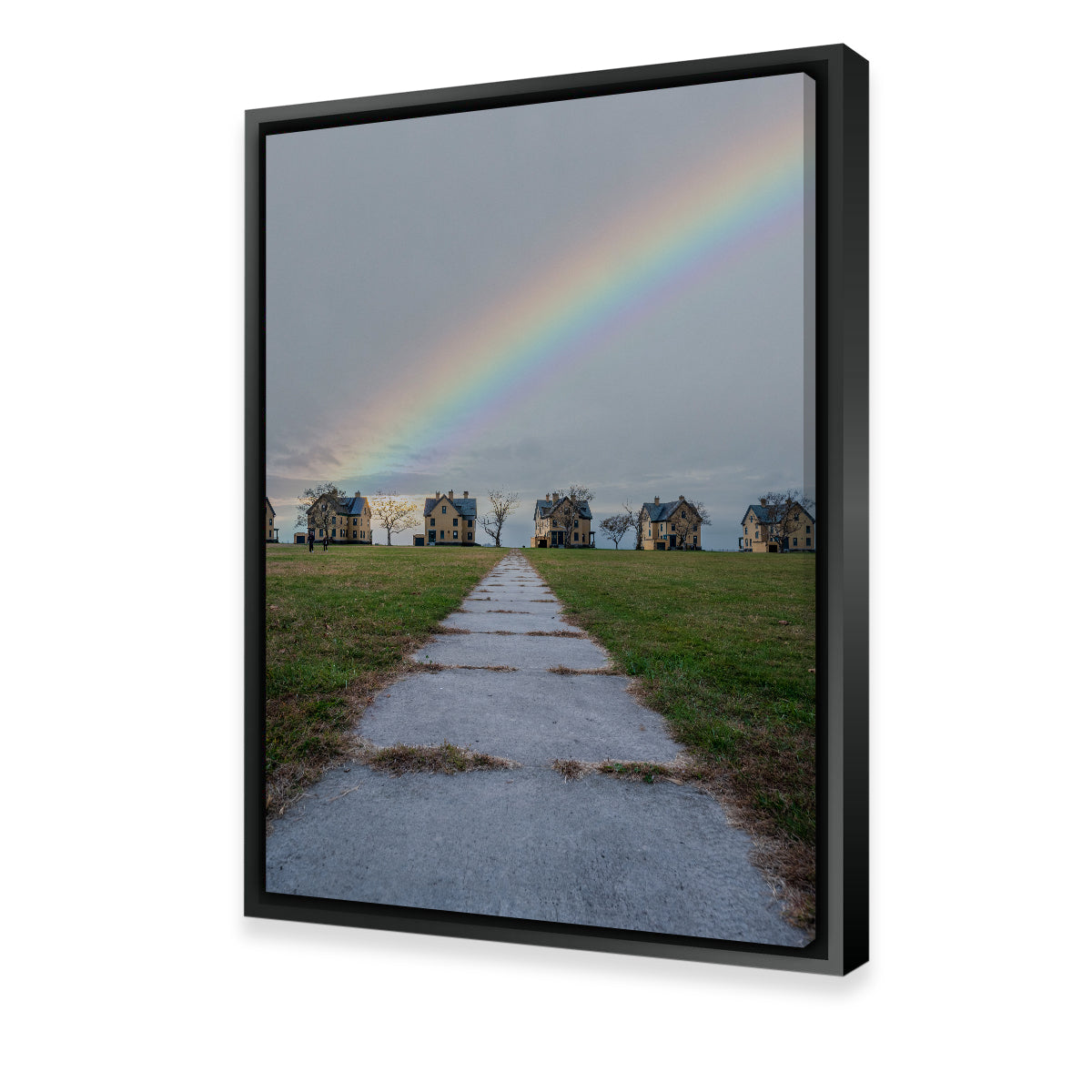 Fort Hancock Rainbow Comp Wall Art