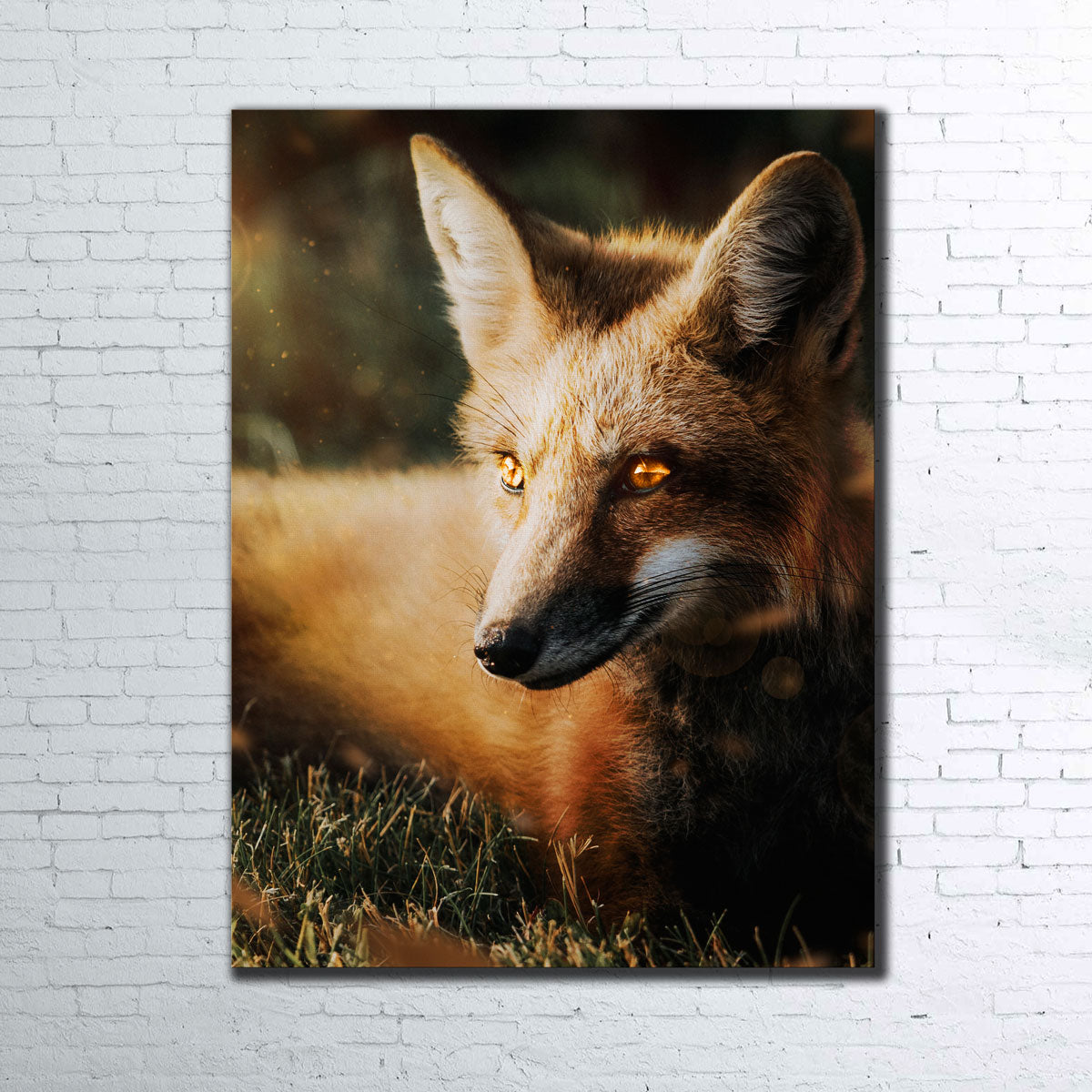 Fox Wall Art