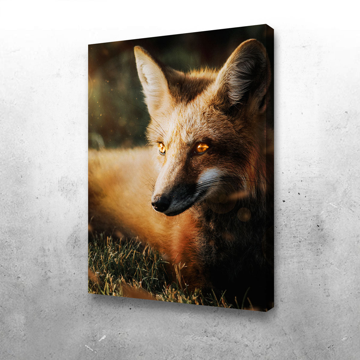 Fox Wall Art