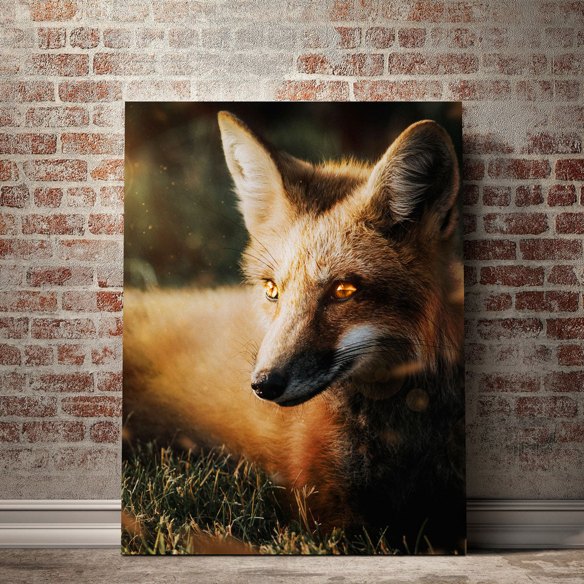 Fox Wall Art