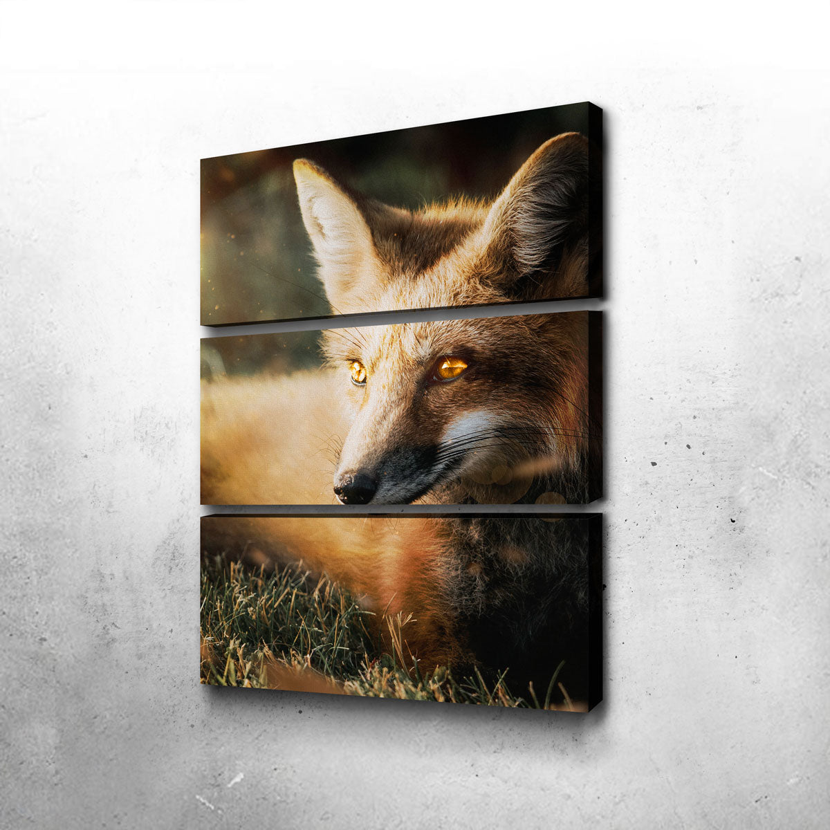 Fox Wall Art