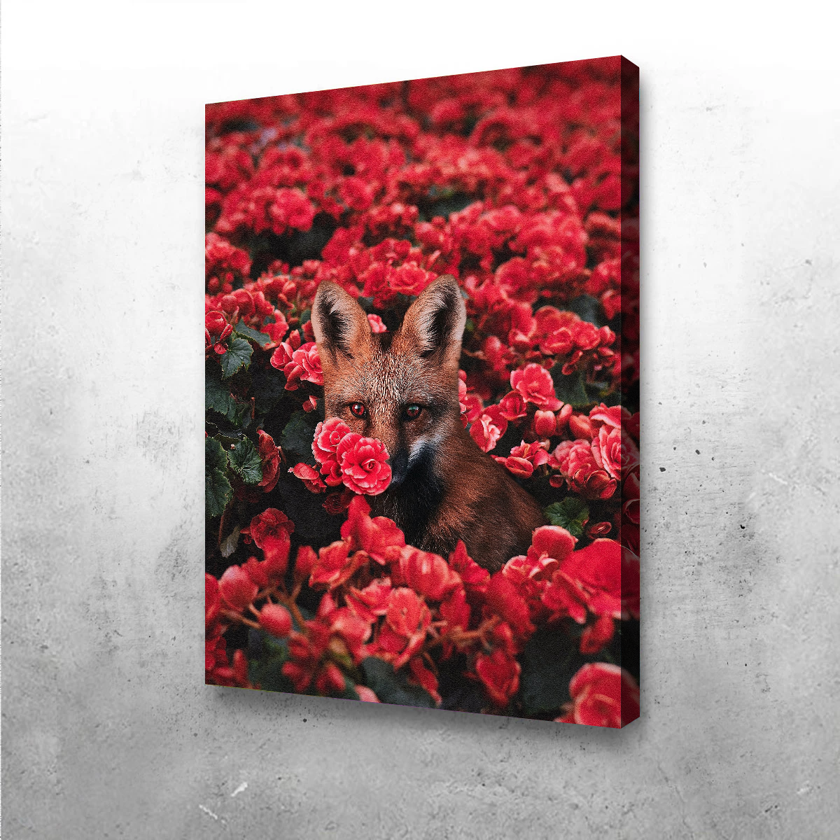 Fox and Flowers Wall Art