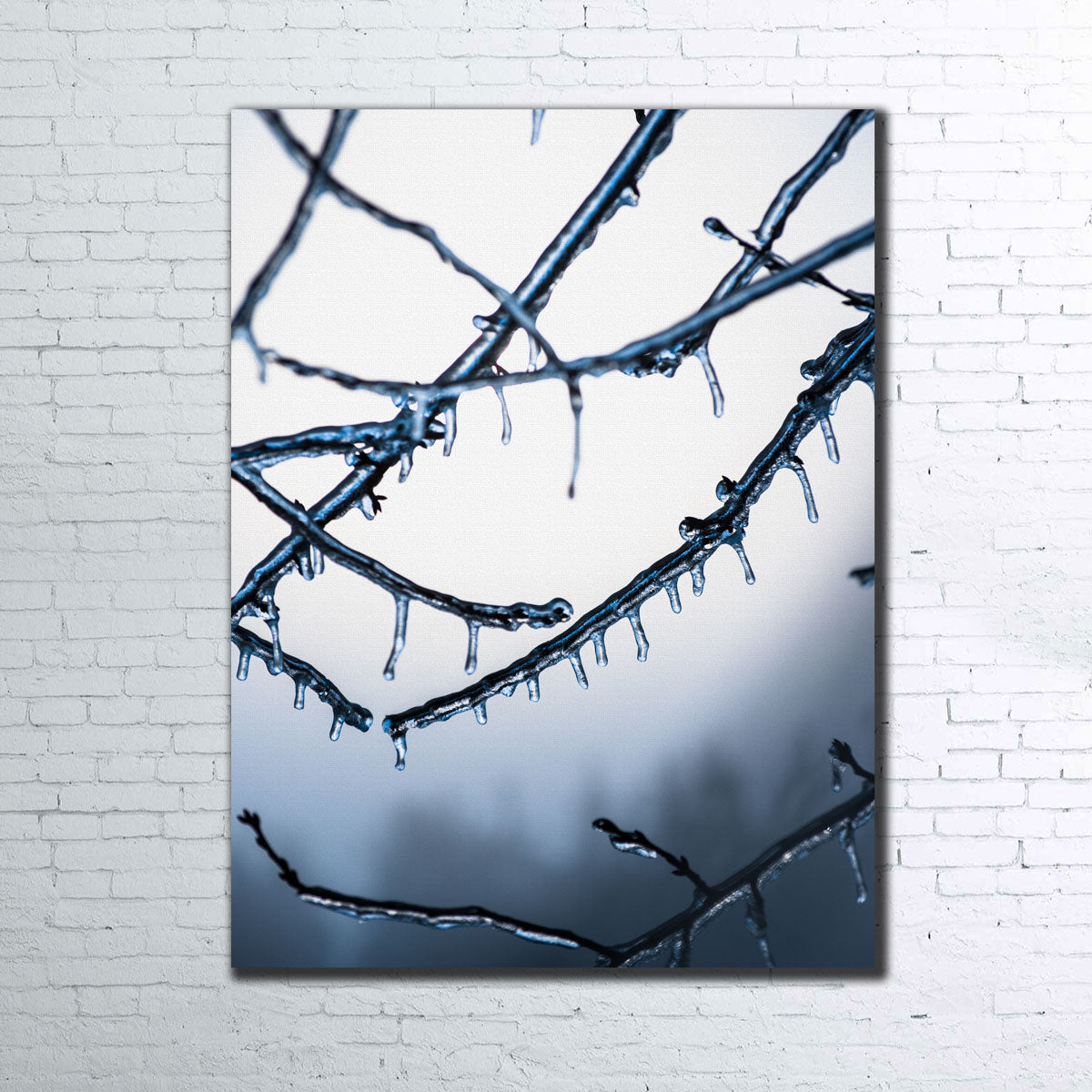 Frozen Virginia Wall Art