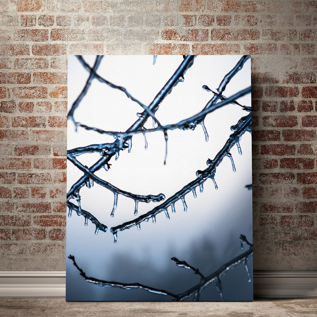 Frozen Virginia Wall Art
