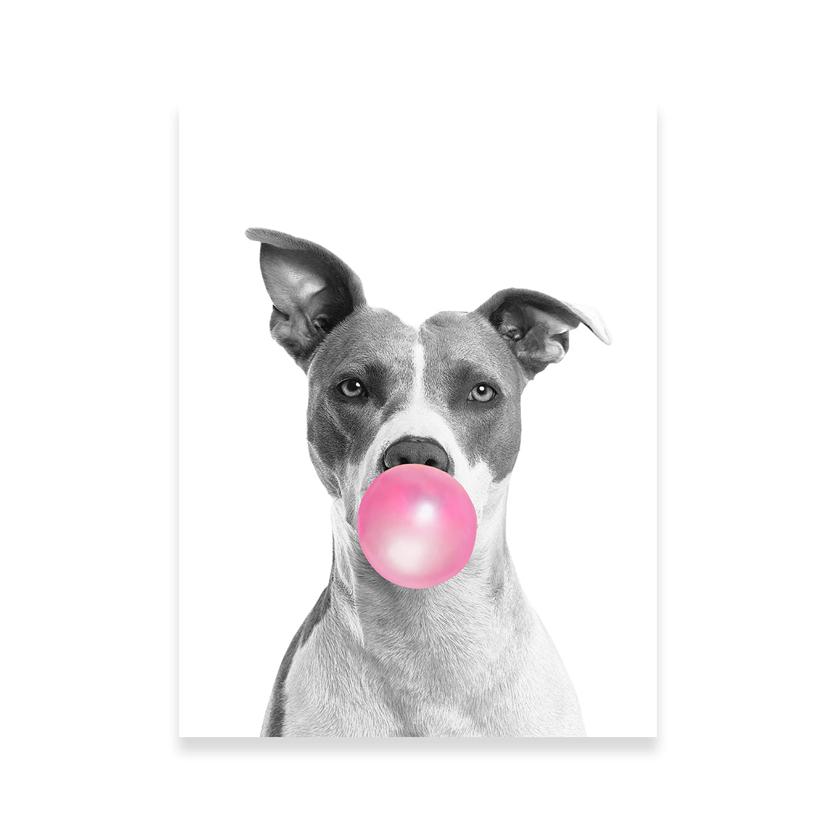 Funny Dog Wall Art